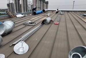 风机蜜桃视频网站APP