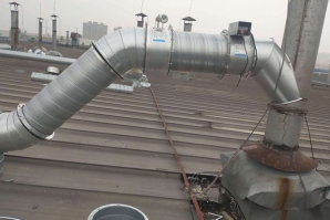 无花蜜桃视频网站APP