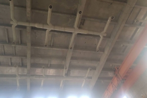 工厂蜜桃视频网站APP