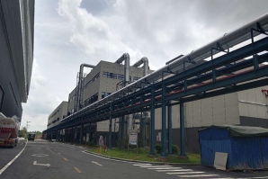 净化蜜桃视频网站APP