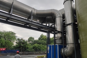 隧道蜜桃视频网站APP