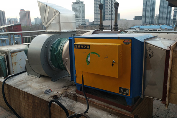 济南蜜桃视频APP污下载