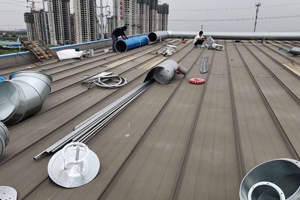 风机蜜桃视频网站APP