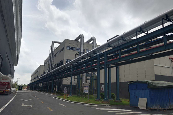 净化蜜桃视频网站APP