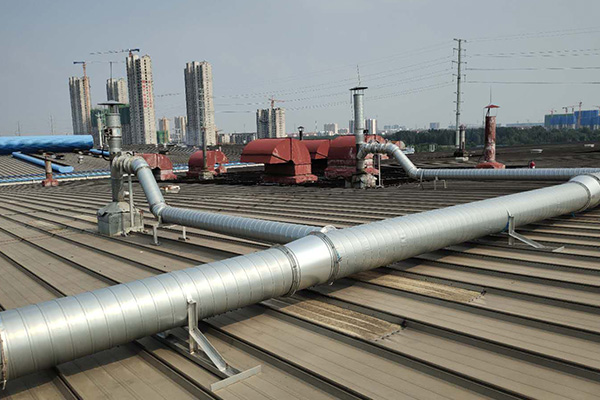 风机蜜桃视频网站APP